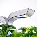 Horta Veritable® SMART Arctic Branco