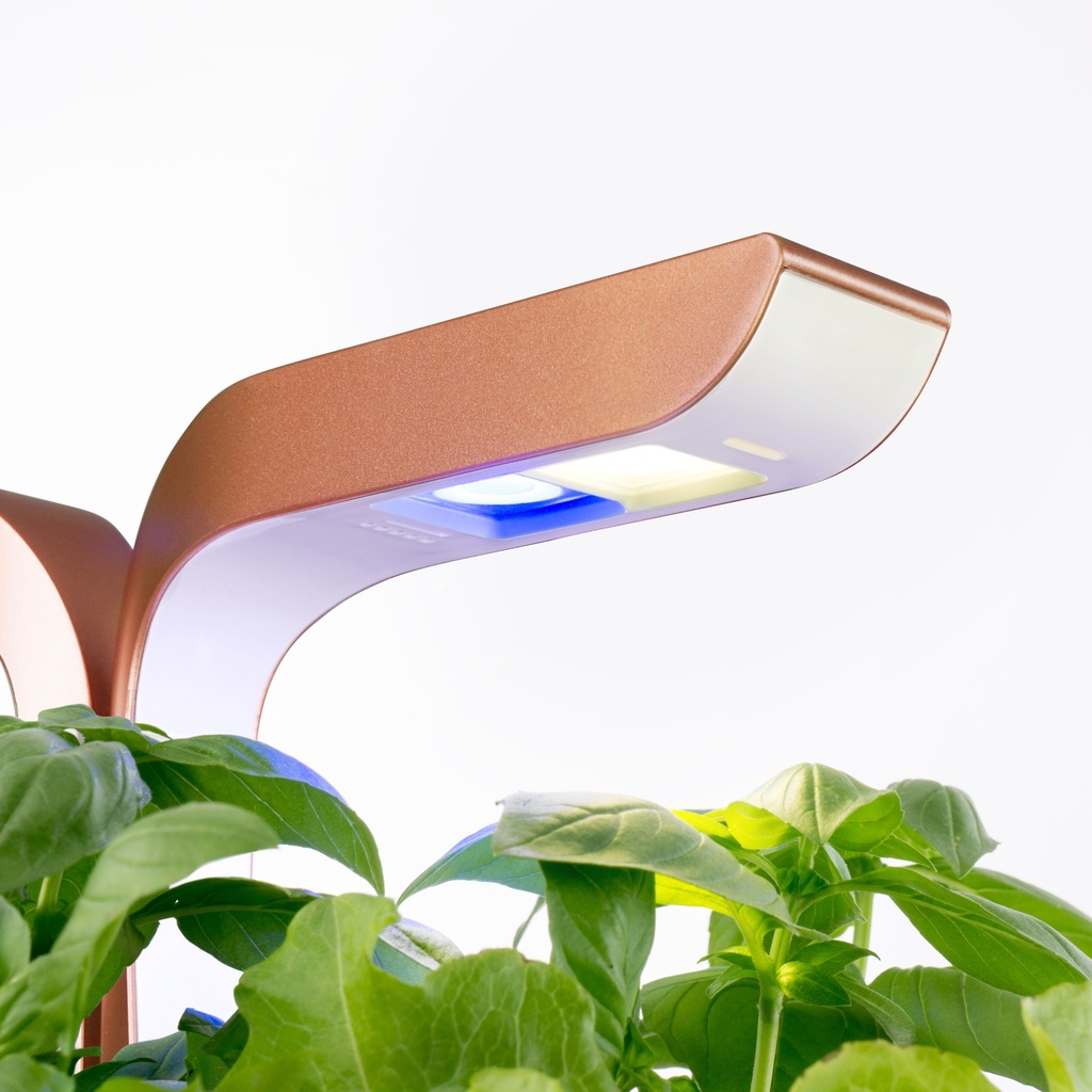 Horta Veritable® SMART Cobre