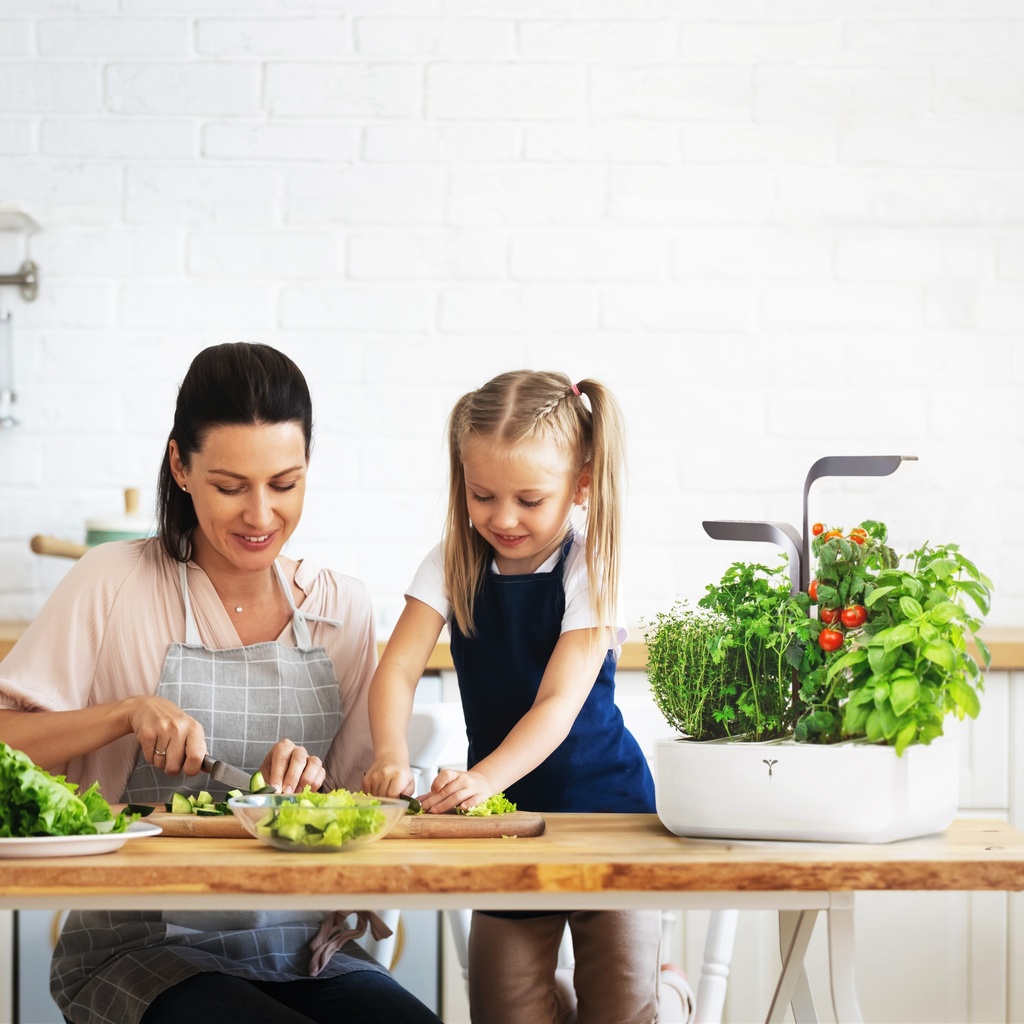 Horta Veritable® CONNECT Cinza Infinito