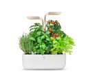 Horta Veritable® CONNECT Moonlight Gold