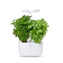Horta Exky® CLASSIC