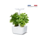Horta Exky® CLASSIC