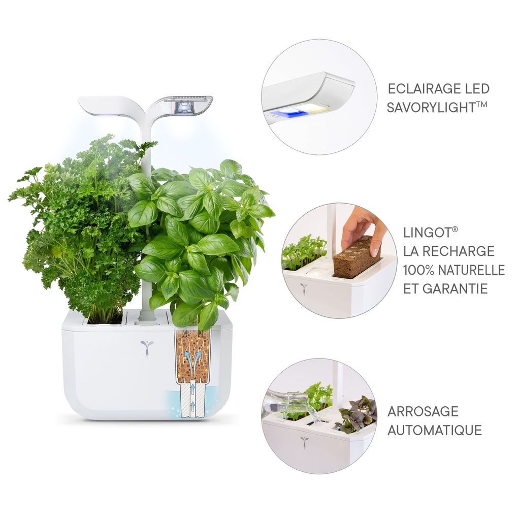 Horta Exky® CLASSIC