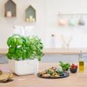 Horta Exky® CLASSIC