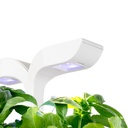 Horta Exky® CLASSIC