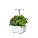 Horta Exky® SMART Arctic Branco