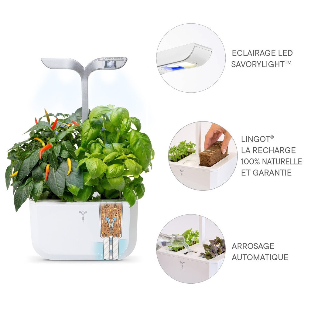 Horta Exky® SMART Arctic Branco