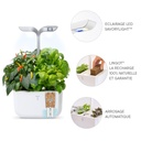 Horta Exky® SMART Arctic Branco