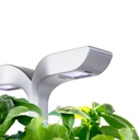 Horta Exky® SMART Arctic Branco