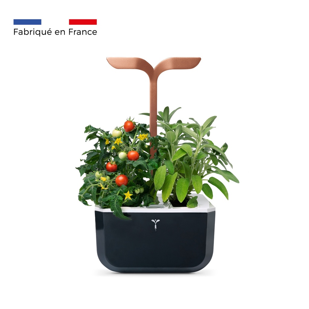 Horta Exky® SMART Cobre
