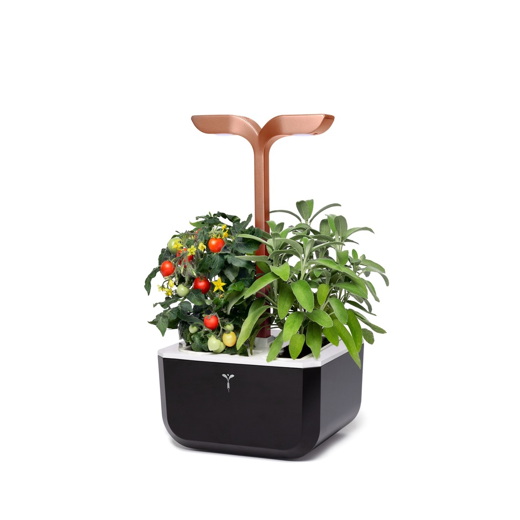 Horta Exky® SMART Cobre