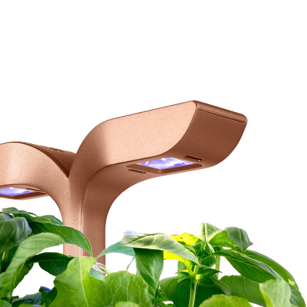 Horta Exky® SMART Cobre