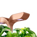 Horta Exky® SMART Cobre