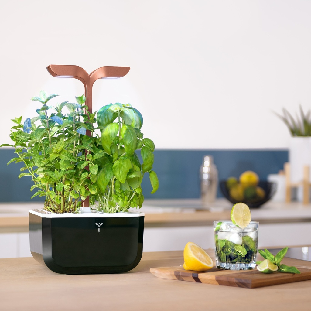 Horta Exky® SMART Cobre
