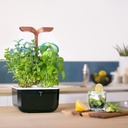 Horta Exky® SMART Cobre