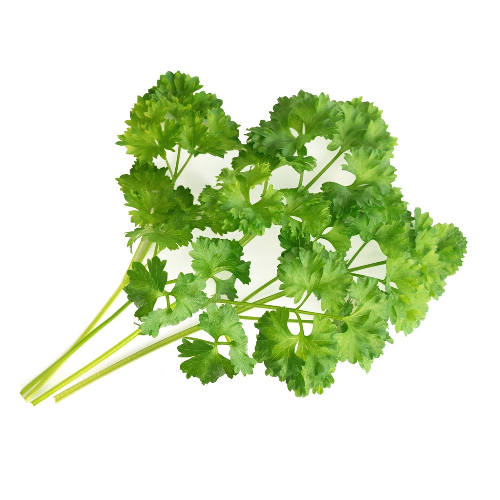 Salsa Frisada Lingot® - Orgânica