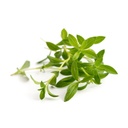 Lingot® Savory - Orgânico