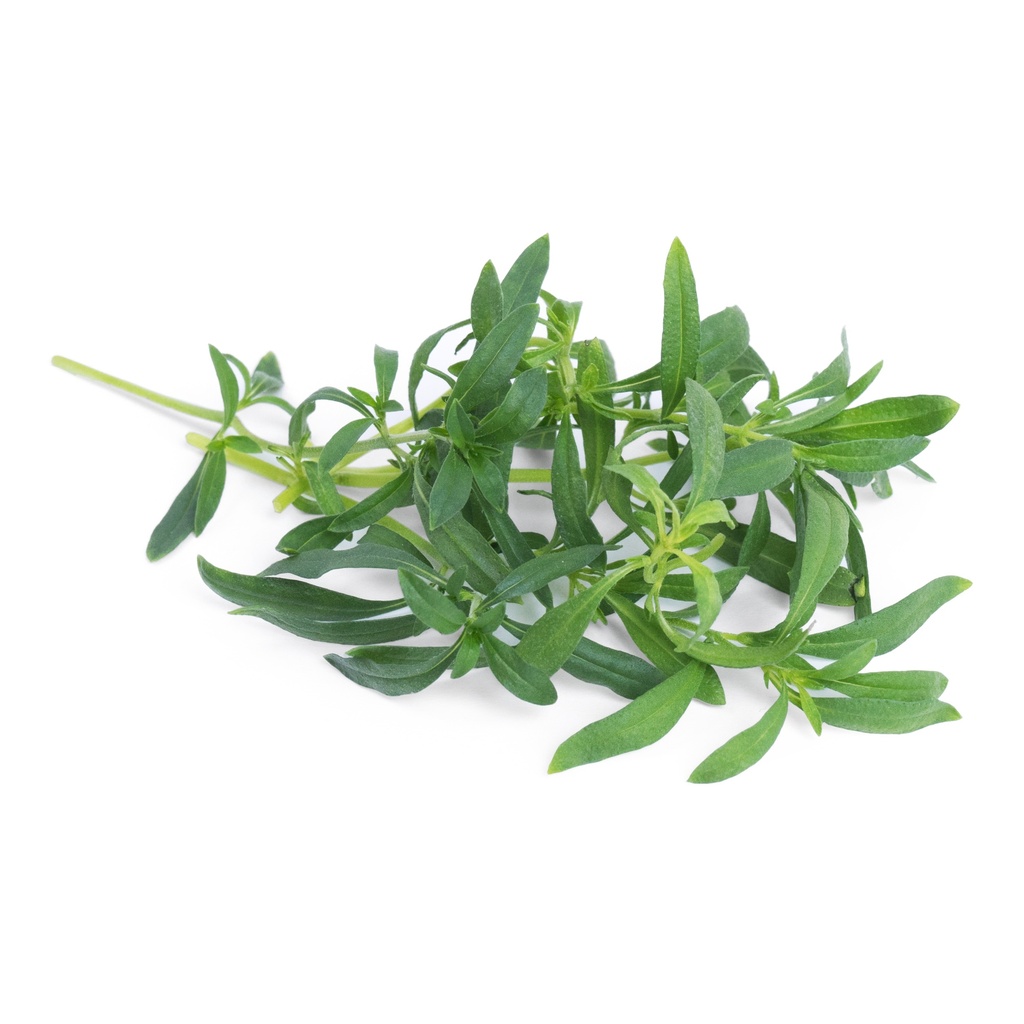 Lingot® Wild Savory - Orgânico