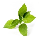 Lingot® Lemon Basil - Orgânico