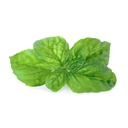 Lingot® Mamute Basil