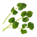 Lingot® Green Anis - Orgânico