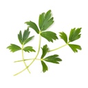 Lingot®Lovage - Orgânico