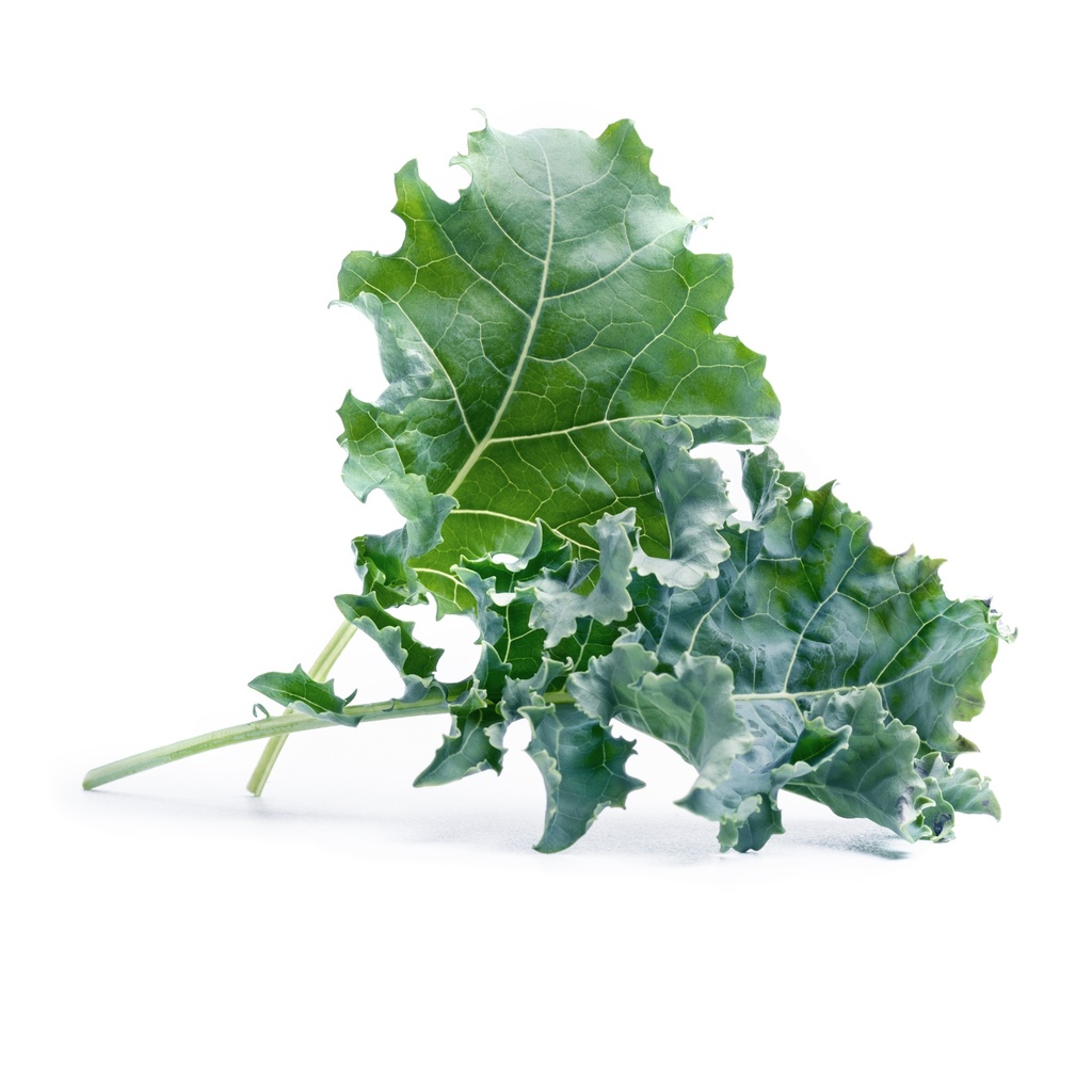 Lingot® Kale - Orgânico