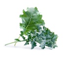 Lingot® Kale - Orgânico