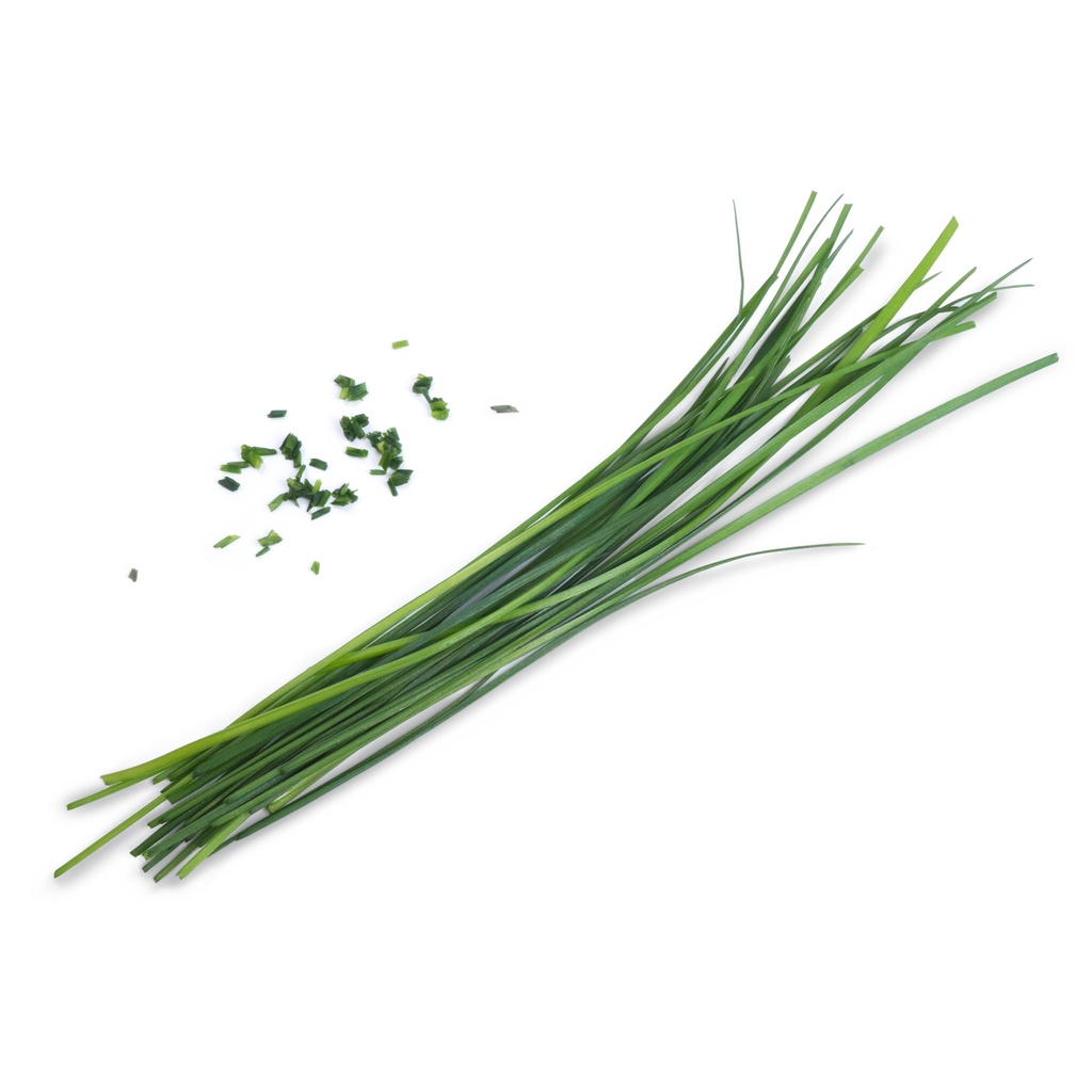 Cebolinha Lingot® Chinesa - Orgânica