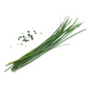 Cebolinha Lingot® Chinesa - Orgânica