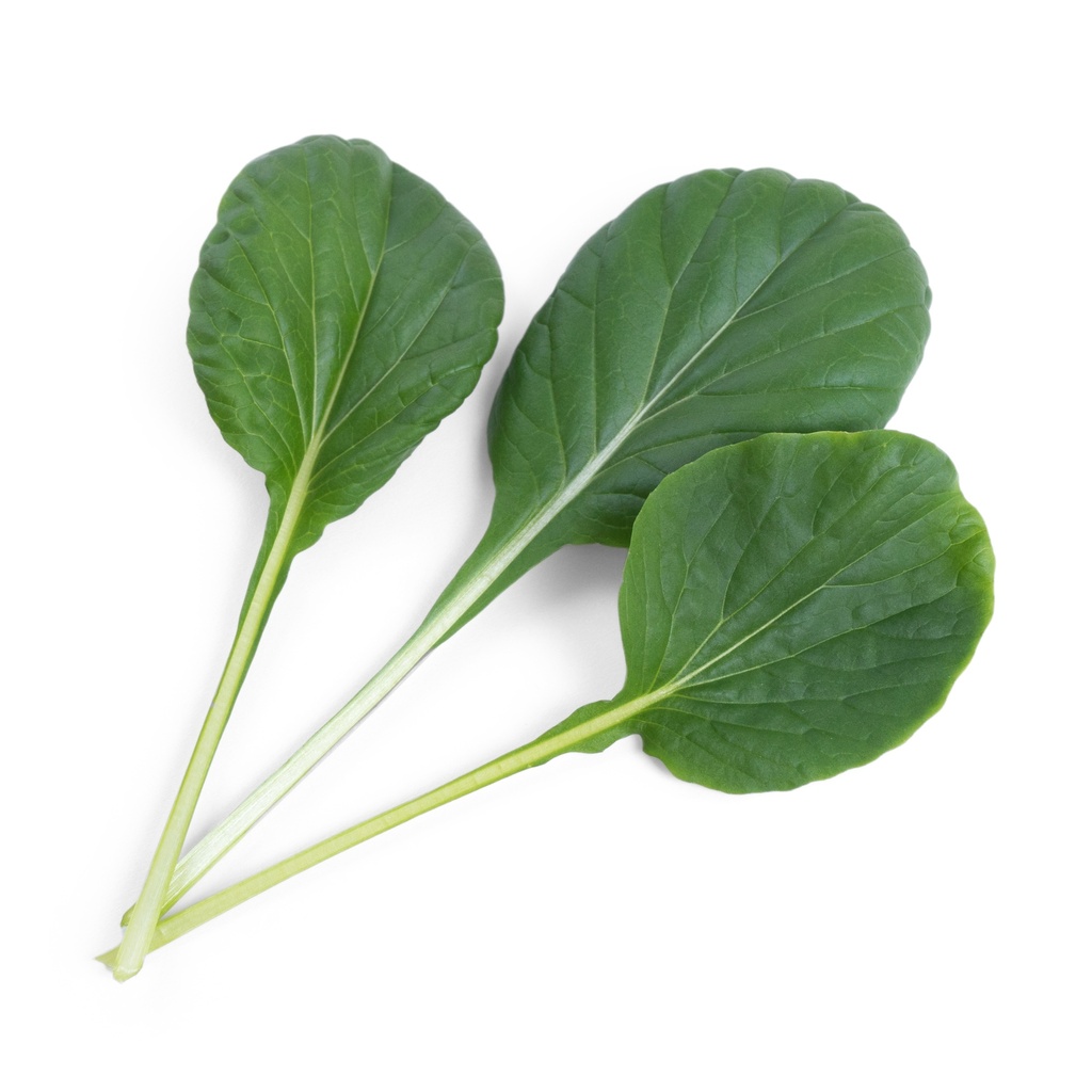 Lingot® Tatsoi - Orgânico