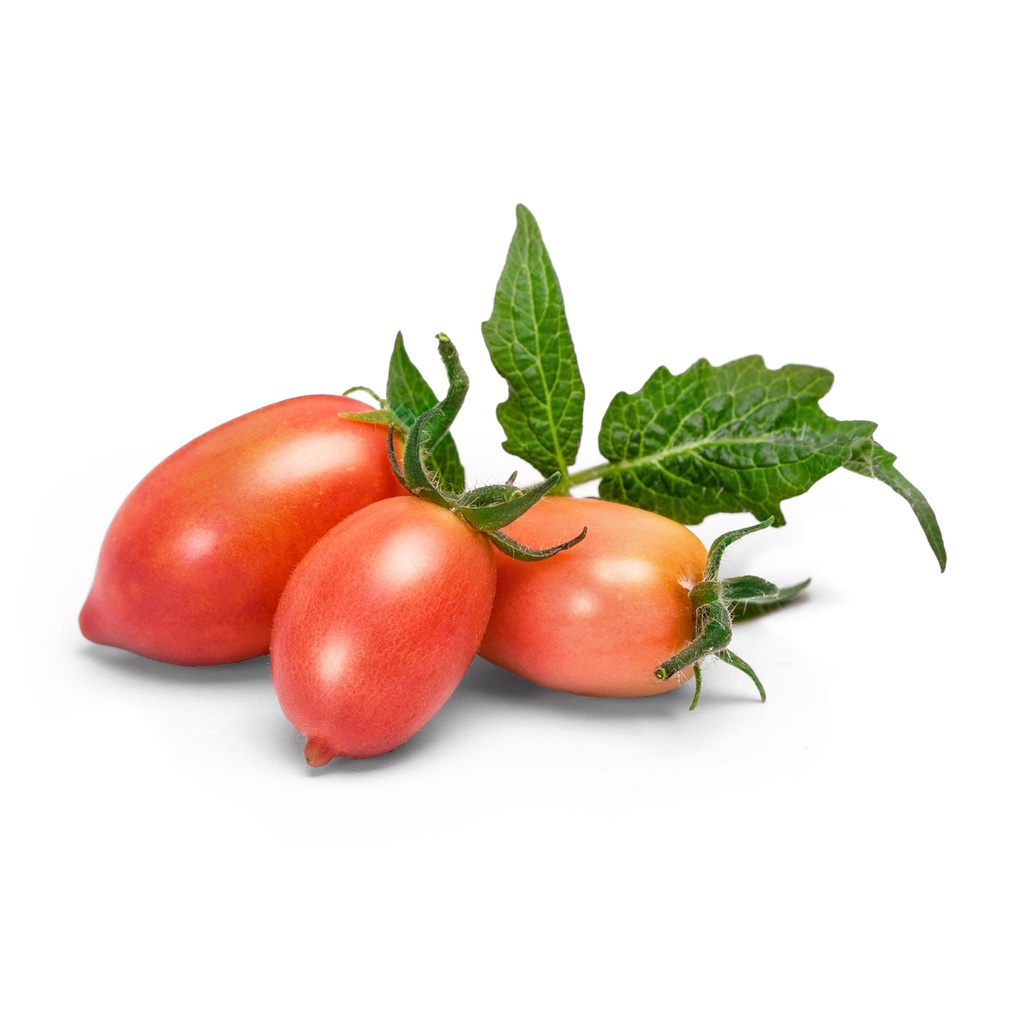 Minitomate Rosa Lingot®