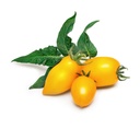 Minitomate Amarelo Lingot®