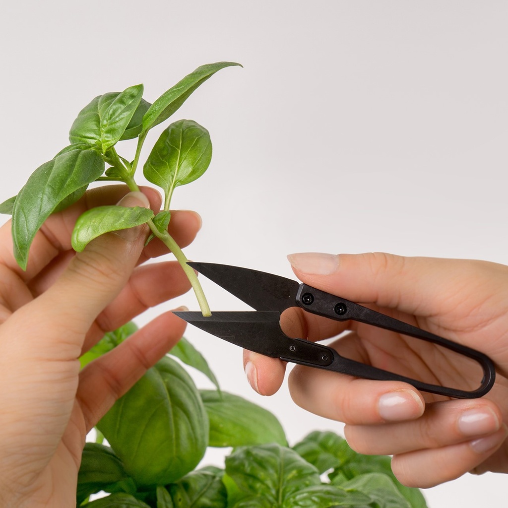  Mini-Tesoura de aço carbono Veritable®