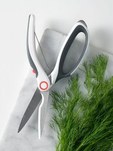 Tesoura para aves