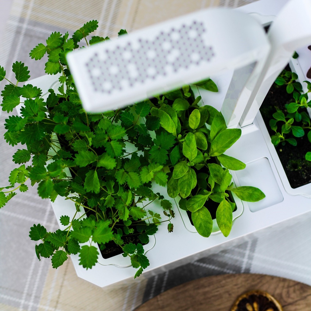 Horta Veritable® CLASSIC