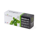 Lingot® Sweet Basil - Organic