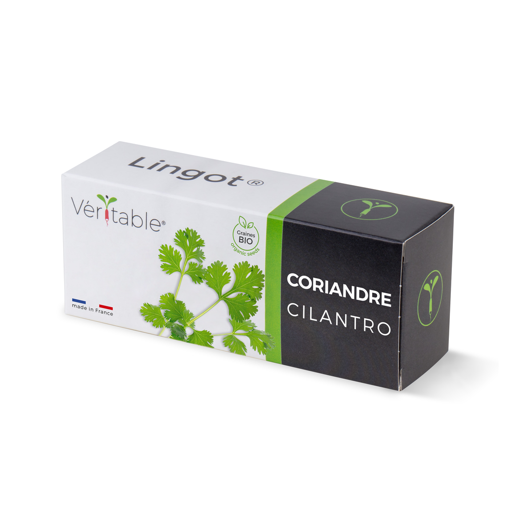 Lingot® Cilantro