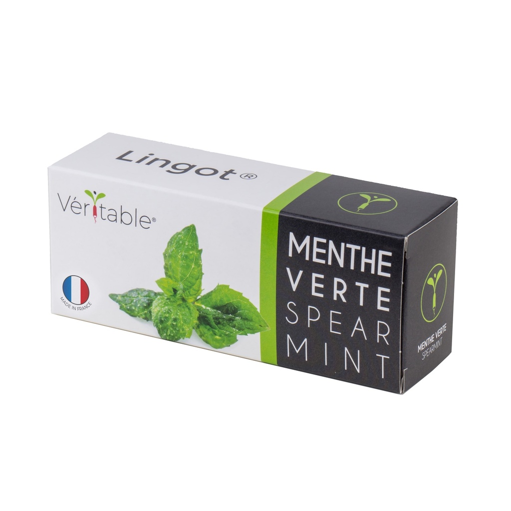 Menta Lingot®