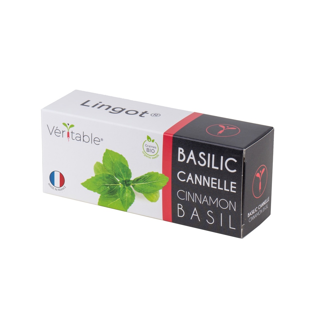 Lingot® Cinnamon Basil - Organic