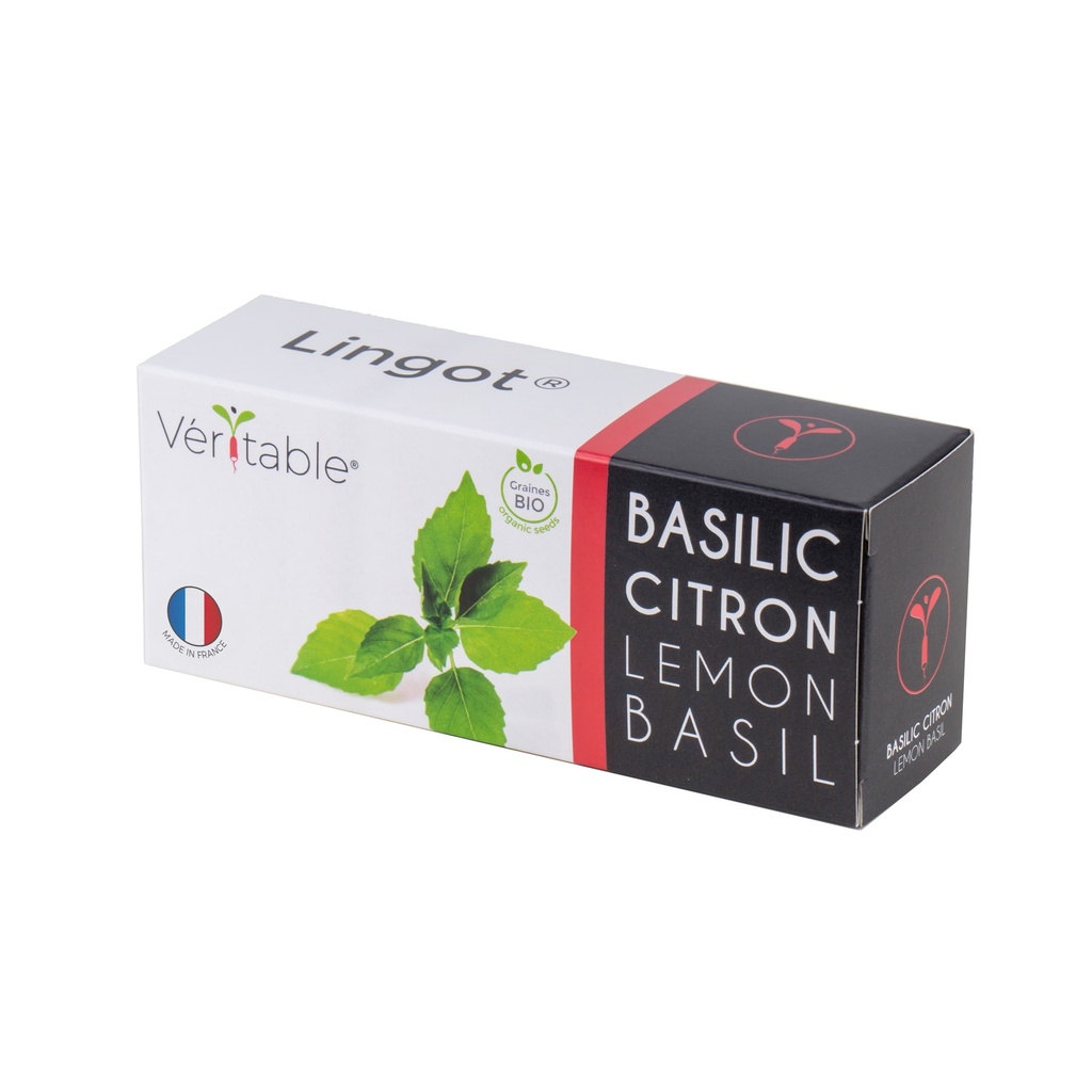 Lingot® Lemon Basil - Orgânico