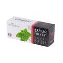 Lingot® Dwarf Basil - Organic