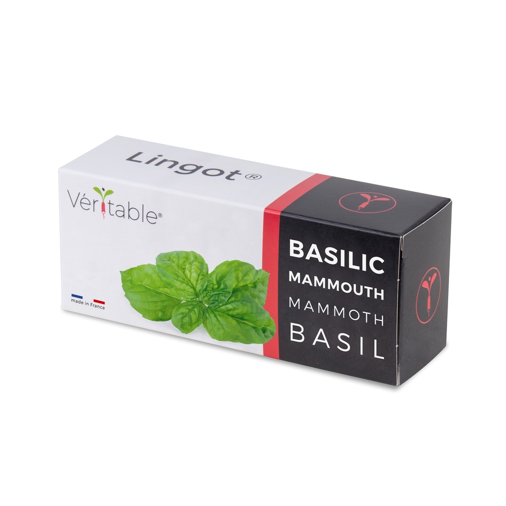 Lingot® Mamute Basil