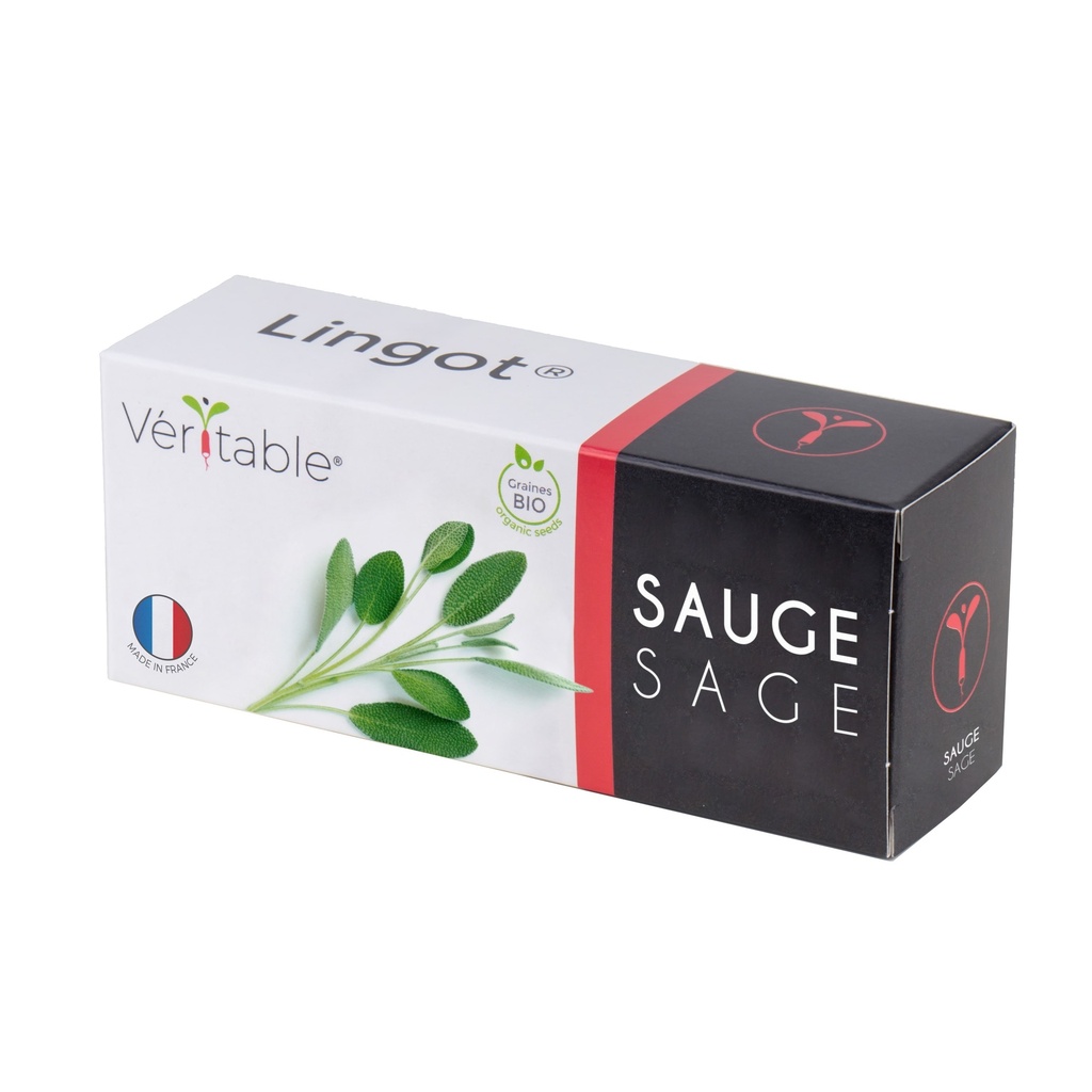 Salvia Lingot® - Orgánica