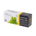 Alface Lingot® Oakleaf - Orgânica