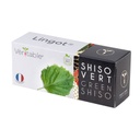 Lingot® Shiso Vert - Bio