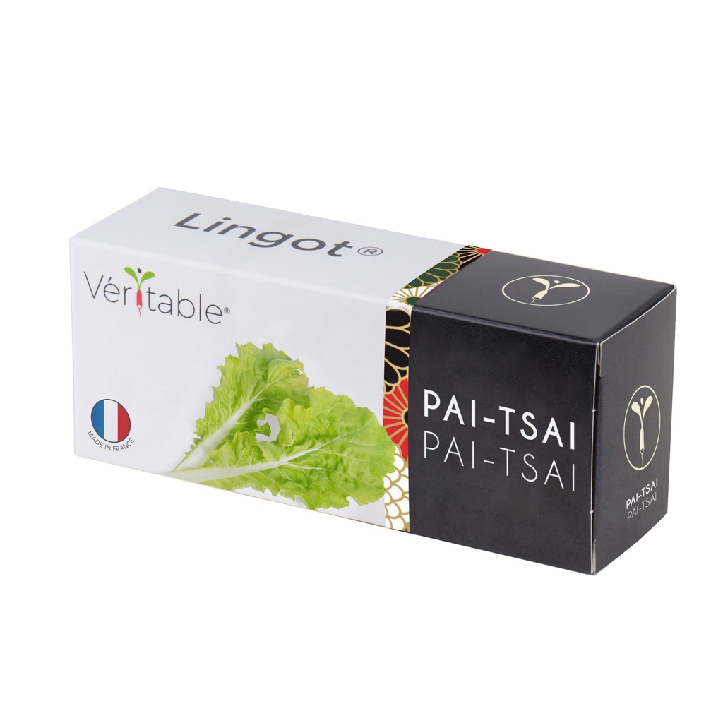Lingot® Patsai
