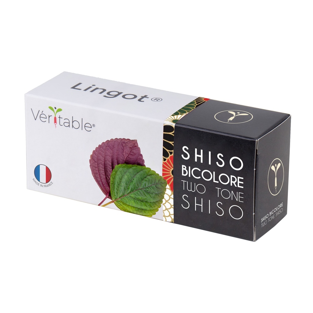 Lingot® Bicolor Shiso