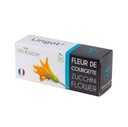 Flores de Courgette Lingot® - Orgânicas