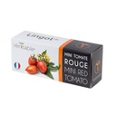 Lingot® Red mini Tomato